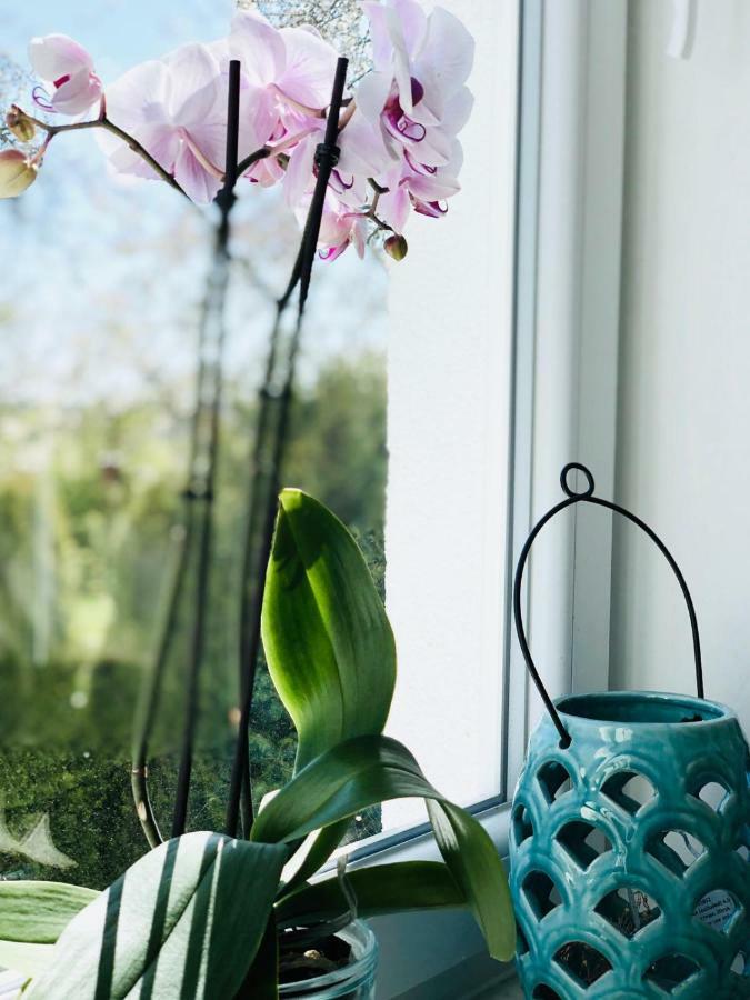 Apartmán Haus Stoertebeker No.2 Börgerende-Rethwisch Exteriér fotografie